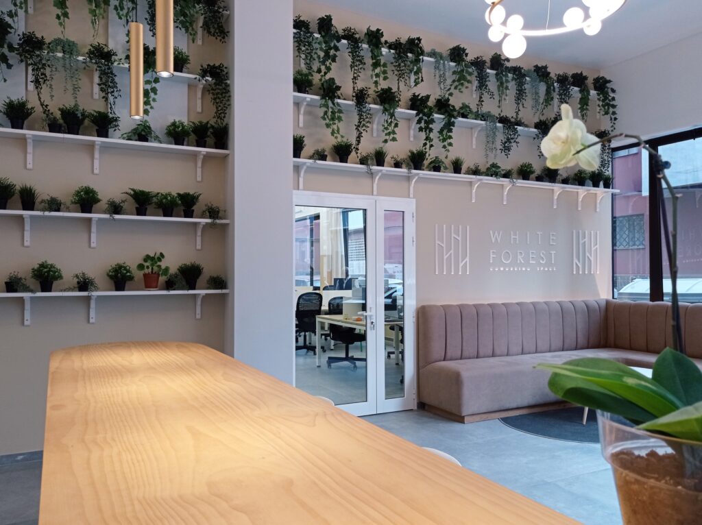 Coworking Las Palmas 9 1024x766