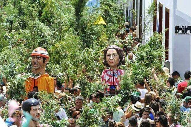 La Rama De Agaete 2